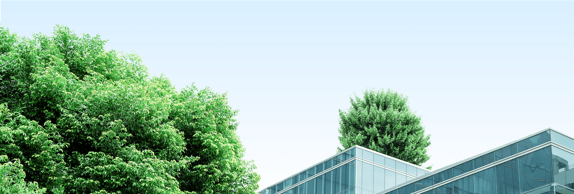 kết nối chuyên gia